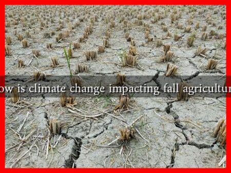 How is climate change impacting fall agriculture?