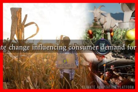 How is climate change influencing consumer demand for fall produce?