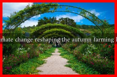 How is climate change reshaping the autumn farming landscape? How is climate change reshaping the autumn farming landscape?