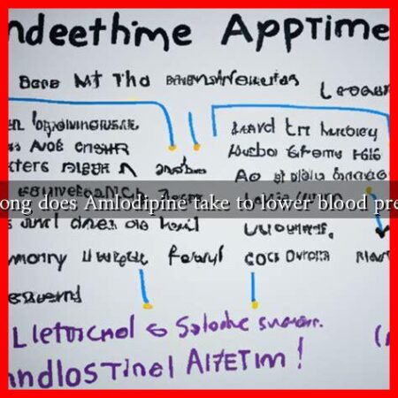 How long does Amlodipine take to lower blood pressure? How long does Amlodipine take to lower blood pressure?