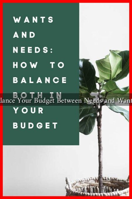 How to Balance Your Budget Between Needs and Wants in 2025?