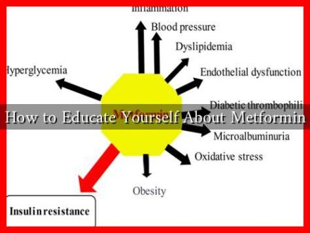 How to Educate Yourself About Metformin How to Educate Yourself About Metformin