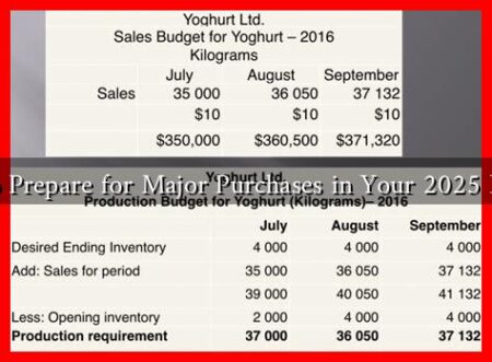 How to Prepare for Major Purchases in Your 2025 Budget?