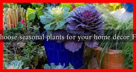 How to choose seasonal plants for your home decor Fall 2024?