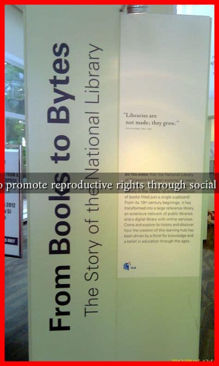 How to promote reproductive rights through social media?