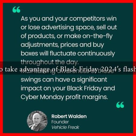 How to take advantage of Black Friday 2024's flash sales?