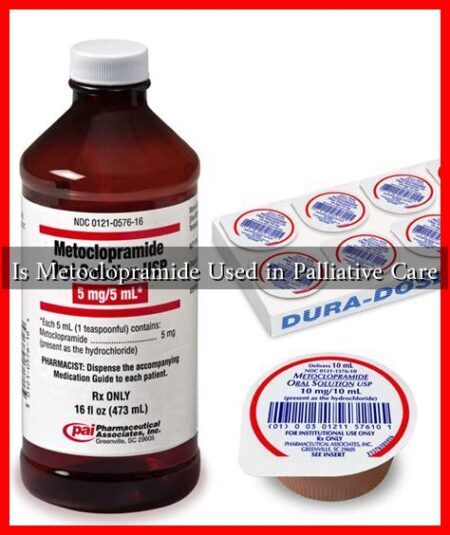 Is Metoclopramide Used in Palliative Care Is Metoclopramide Used in Palliative Care
