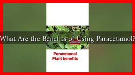 What Are the Benefits of Using Paracetamol? What Are the Benefits of Using Paracetamol?