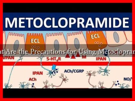 What Are the Precautions for Using Metoclopramide What Are the Precautions for Using Metoclopramide