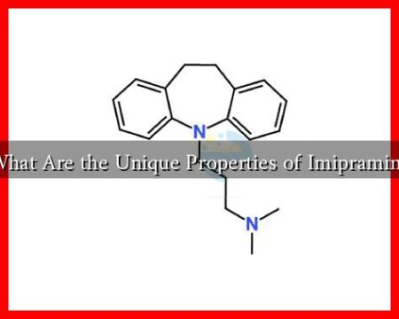 What Are the Unique Properties of Imipramine What Are the Unique Properties of Imipramine