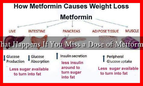 What Happens If You Miss a Dose of Metformin