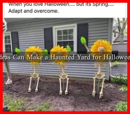 What Ideas Can Make a Haunted Yard for Halloween 2024