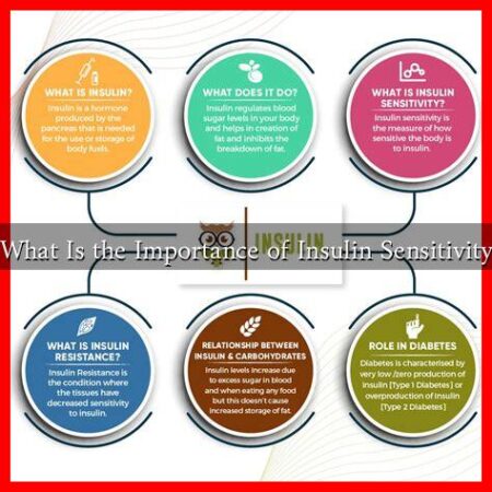 What Is the Importance of Insulin Sensitivity What Is the Importance of Insulin Sensitivity