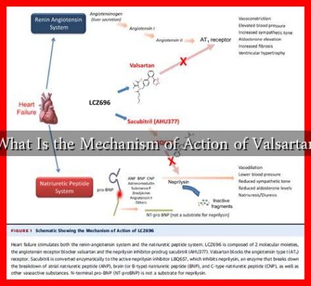 What Is the Mechanism of Action of Valsartan