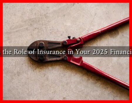 What Is the Role of Insurance in Your 2025 Financial Plan?
