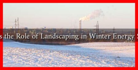 What Is the Role of Landscaping in Winter Energy Savings What Is the Role of Landscaping in Winter Energy Savings