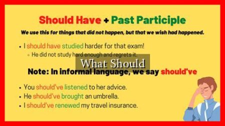 What Should What Should