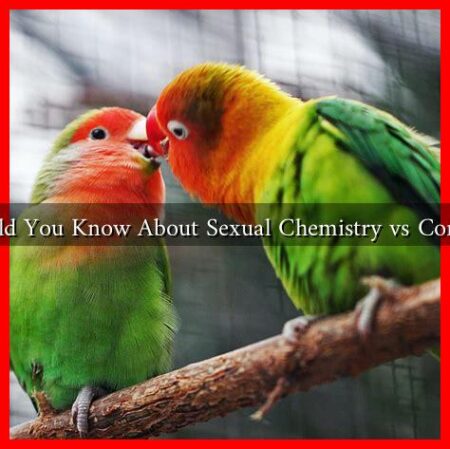 What Should You Know About Sexual Chemistry vs Compatibility? What Should You Know About Sexual Chemistry vs Compatibility?