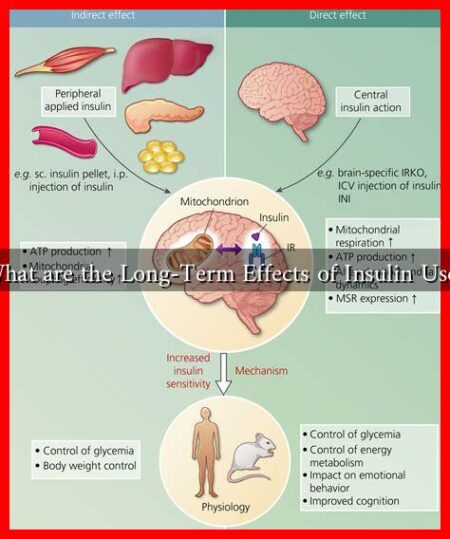 What are the Long-Term Effects of Insulin Use? What are the Long-Term Effects of Insulin Use?