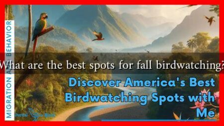 What are the best spots for fall birdwatching?