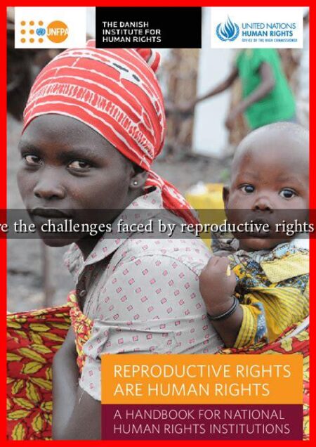 What are the challenges faced by reproductive rights NGOs?