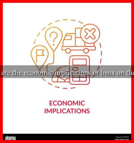 What are the economic implications of bans on the veil?