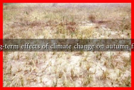 What are the long-term effects of climate change on autumn farming practices? What are the long-term effects of climate change on autumn farming practices?