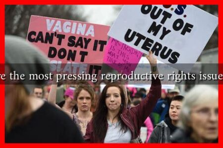 What are the most pressing reproductive rights issues today?