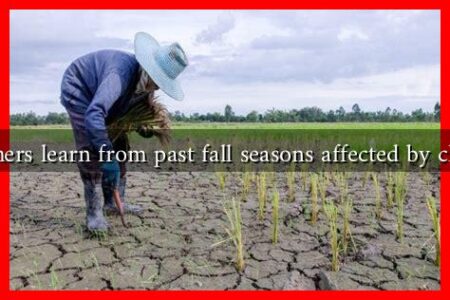 What can farmers learn from past fall seasons affected by climate change?