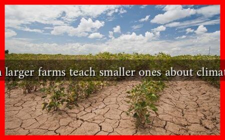 What can larger farms teach smaller ones about climate change