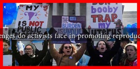 What challenges do activists face in promoting reproductive rights?