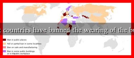 What countries have banned the wearing of the burqa?