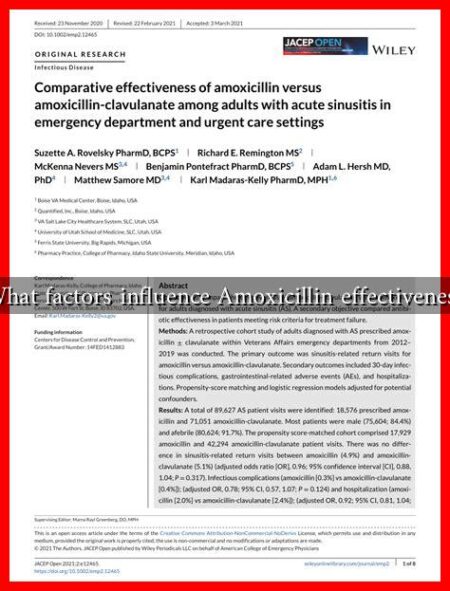 What factors influence Amoxicillin effectiveness What factors influence Amoxicillin effectiveness