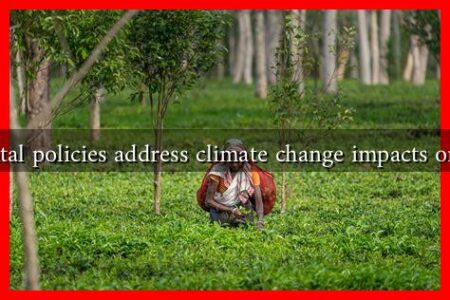 What governmental policies address climate change impacts on fall agriculture? What governmental policies address climate change impacts on fall agriculture?