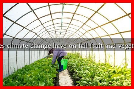 What impact does climate change have on fall fruit and vegetable production?