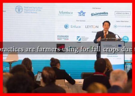 What innovative practices are farmers using for fall crops due to climate change?