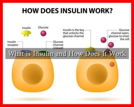 What is Insulin and How Does It Work