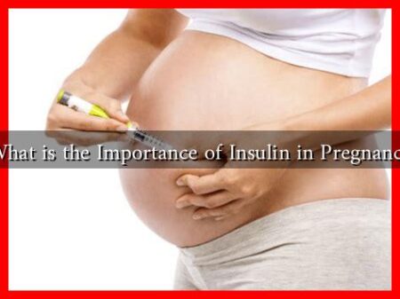 What is the Importance of Insulin in Pregnancy