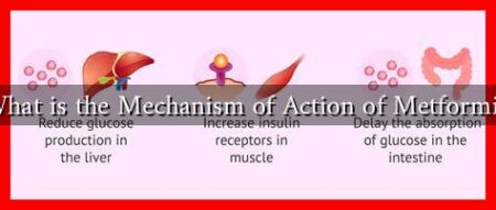 What is the Mechanism of Action of Metformin