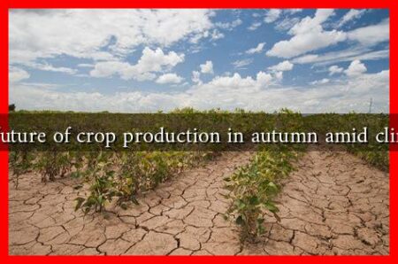 What is the future of crop production in autumn amid climate change?