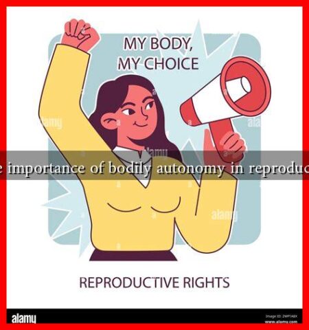 What is the importance of bodily autonomy in reproductive rights?