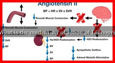 What is the mechanism of action of Lisinopril