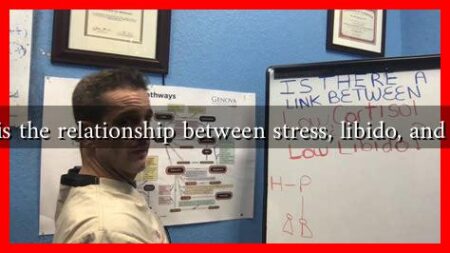 What is the relationship between stress, libido, and aging?