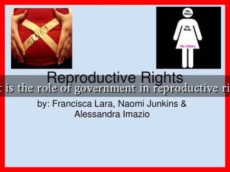 What is the role of government in reproductive rights?