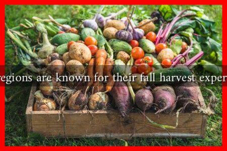 What regions are known for their fall harvest experiences?