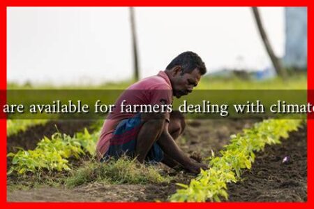What resources are available for farmers dealing with climate change in fall? What resources are available for farmers dealing with climate change in fall?