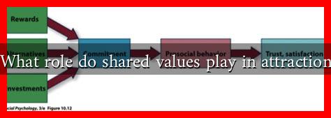 What role do shared values play in attraction What role do shared values play in attraction