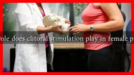 What role does clitoral stimulation play in female pleasure What role does clitoral stimulation play in female pleasure