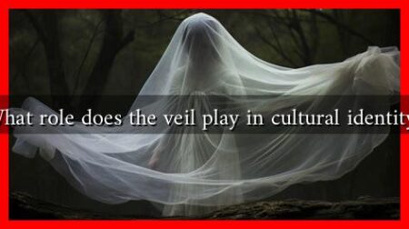 What role does the veil play in cultural identity?