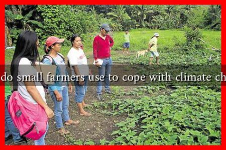 What strategies do small farmers use to cope with climate change in the fall?